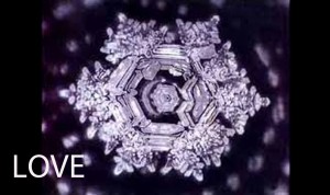 Masuro Emoto Water Crystal Love