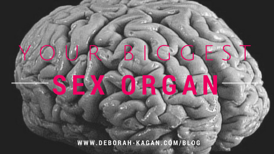 Your Biggest Sex Organ